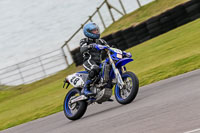 PJ-Motorsport-2019;anglesey-no-limits-trackday;anglesey-photographs;anglesey-trackday-photographs;enduro-digital-images;event-digital-images;eventdigitalimages;no-limits-trackdays;peter-wileman-photography;racing-digital-images;trac-mon;trackday-digital-images;trackday-photos;ty-croes